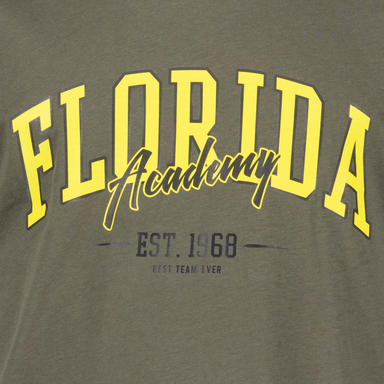 Detailansicht ADAMO Herren T-Shirt in Oliv mit großem Print.