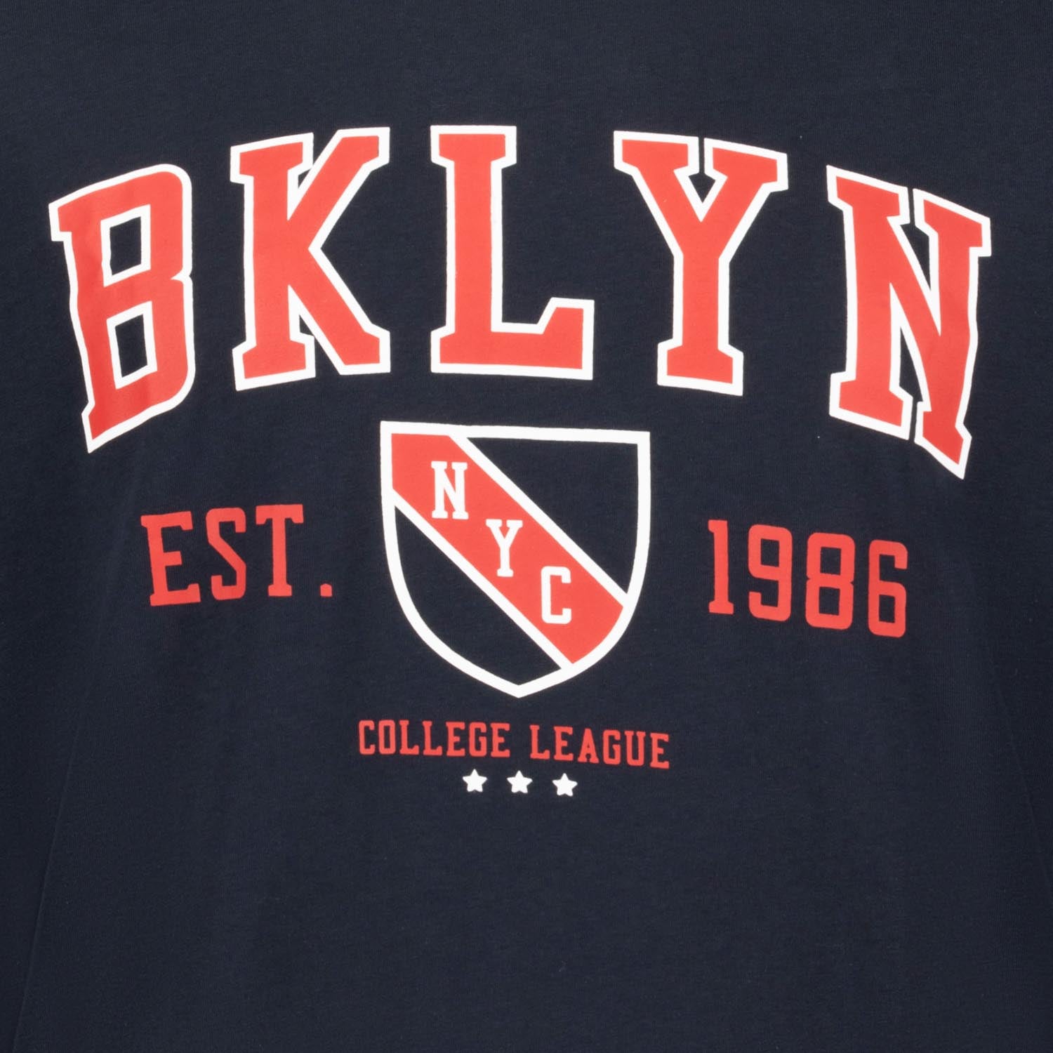 Detailansicht ADAMO Herren T-Shirt in Navy mit großem Print.