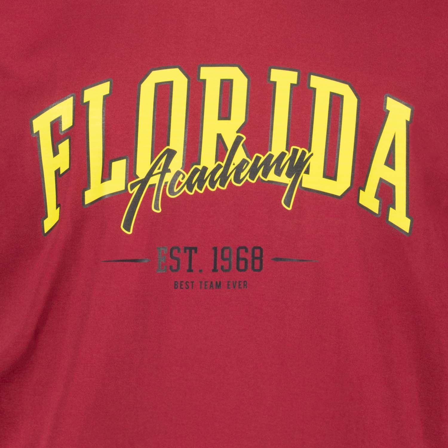 Detailansicht ADAMO Herren T-Shirt in Weinrot mit großem Print. 