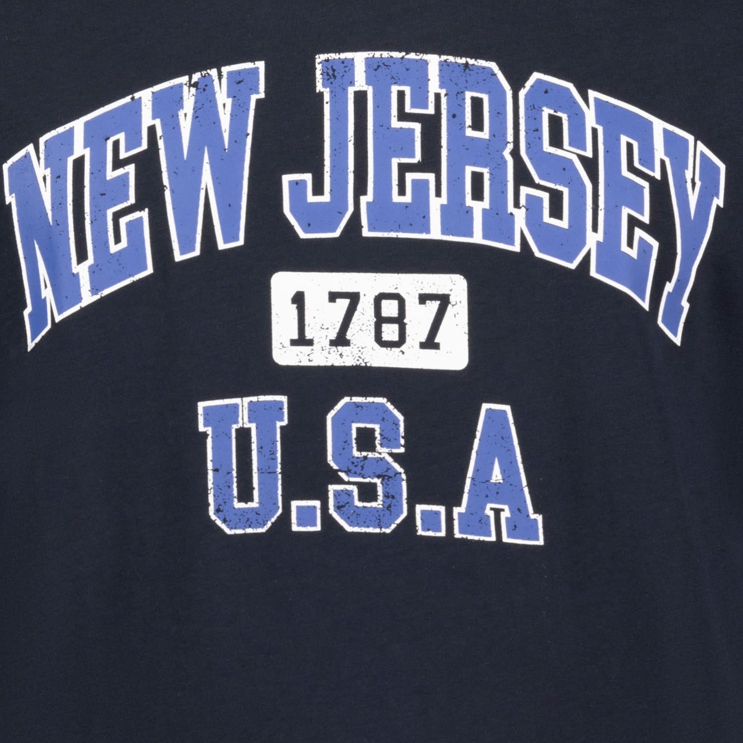 Detailansicht ADAMO Herren T-Shirt in Navy mit großem Print. 