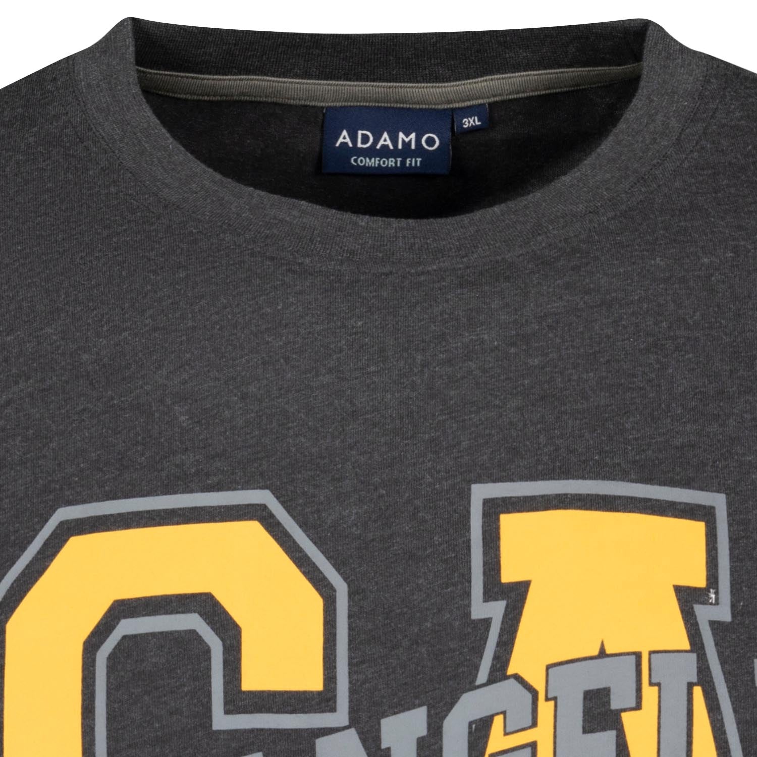 Detailansicht ADAMO Herren Kurzarmshirt anthrameliert mit Rundhalsausschnitt und großem Print.