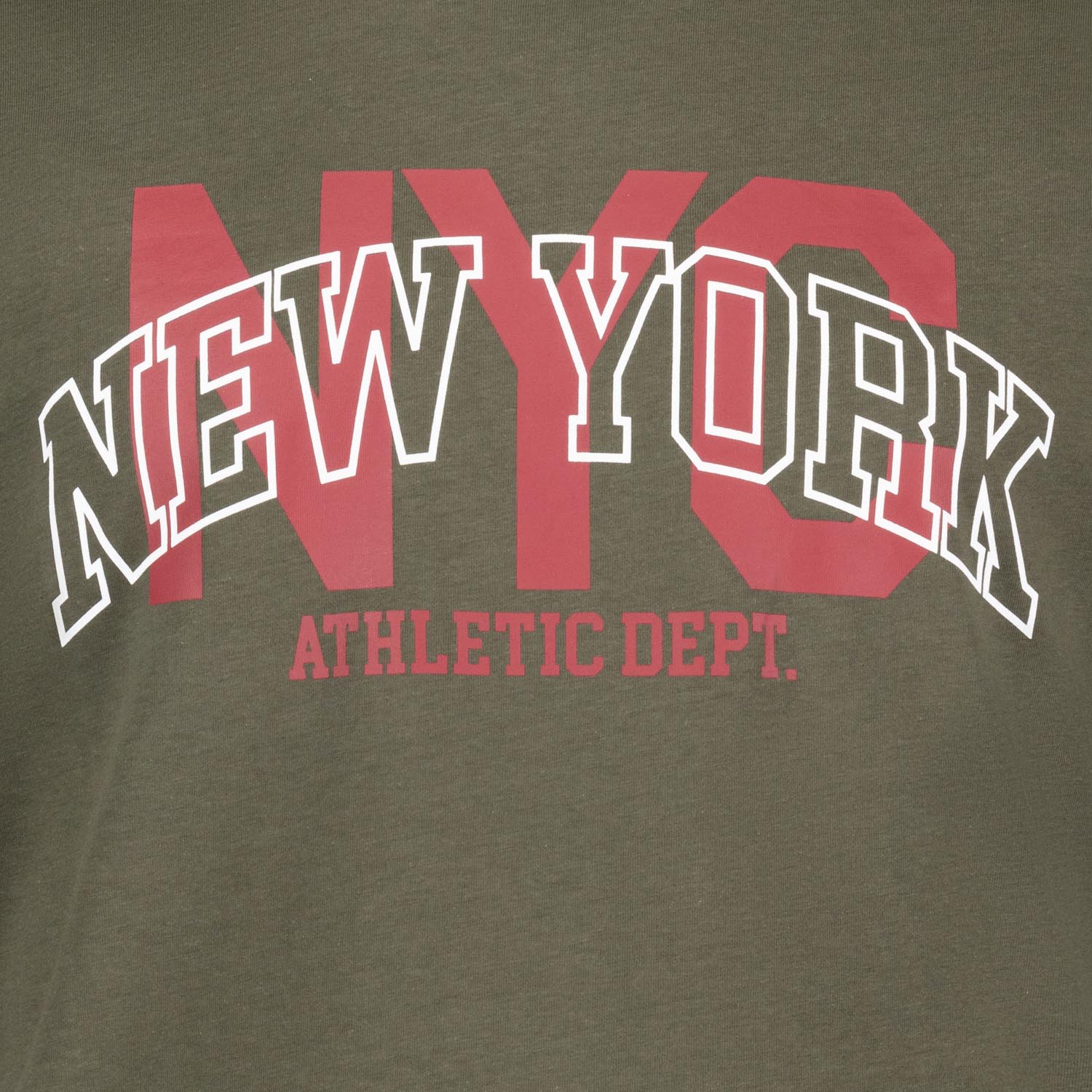 Detailansicht ADAMO Herren T-Shirt in Oliv mit großem Print. 