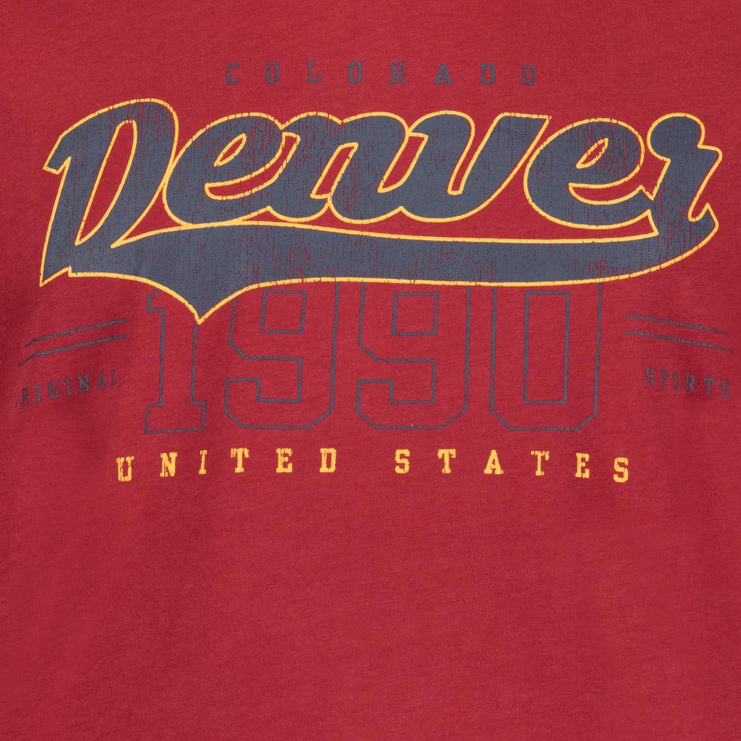 Detailansicht ADAMO Herren T-Shirt in Weinrot mit großem Print. 